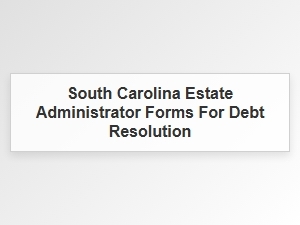 South Carolina Estate Administrator Forms for Debt Resolution