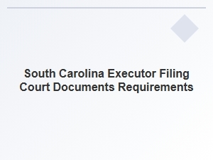 South Carolina Executor Court Filing Requirements